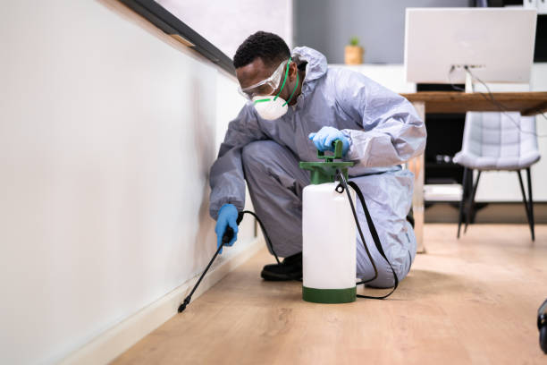 Best Real Estate Pest Inspections  in Folcroft, PA